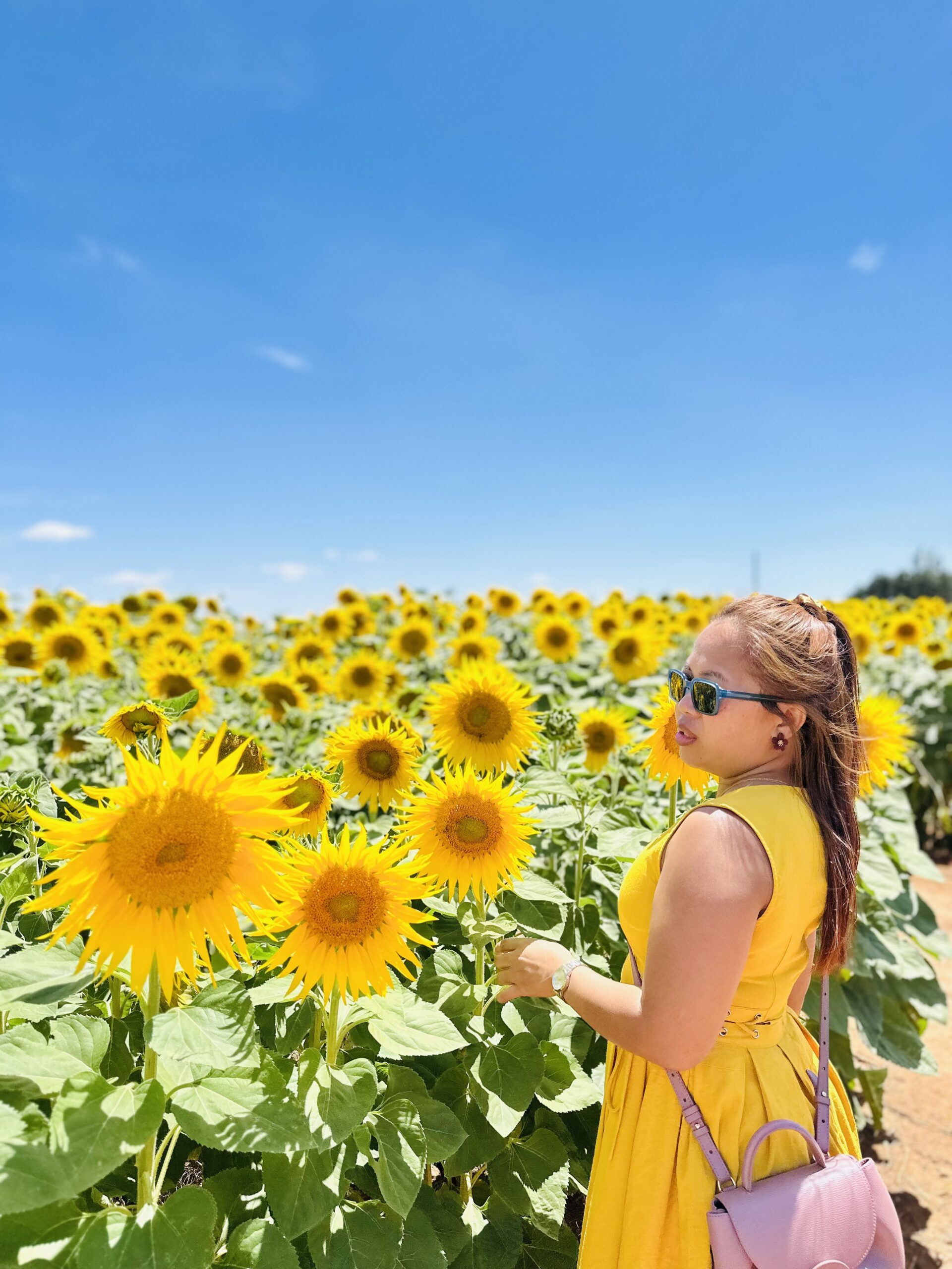 Travel Guides: Discovering Regional Australia